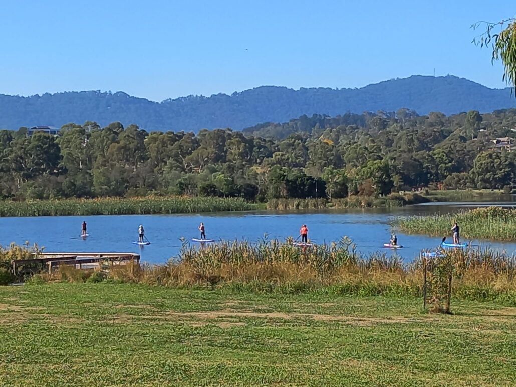 Lilydale Lake SUP